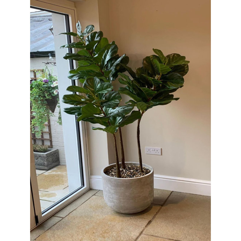 The Seasonal Aisle 170cm Artificial Fiddle Leaf Fig Tree in Planter